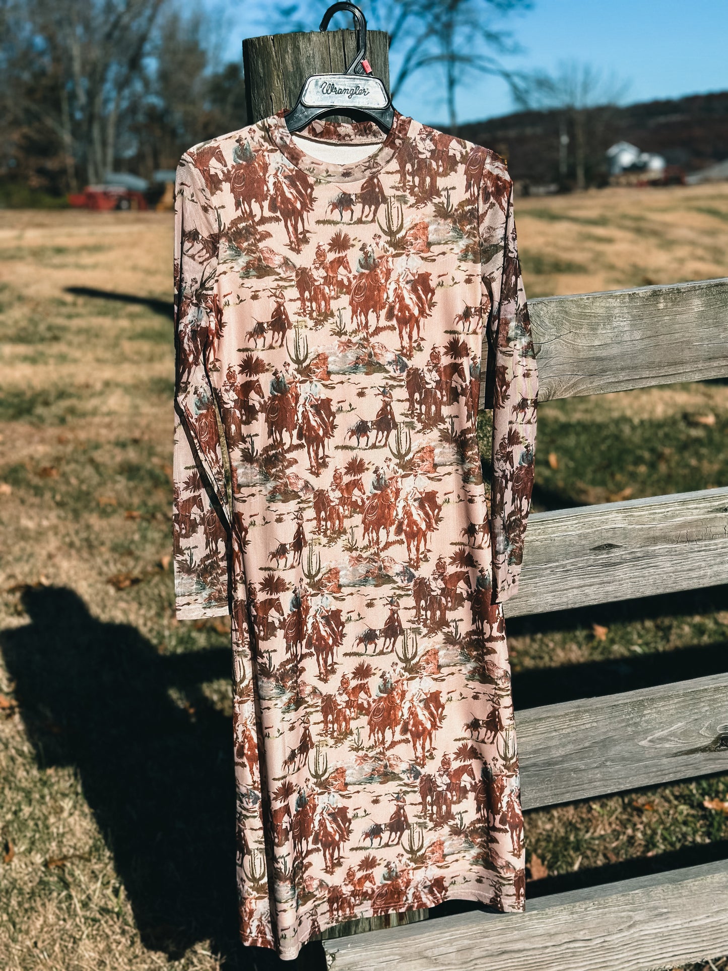 Cowboy Life Mesh Aline Dress