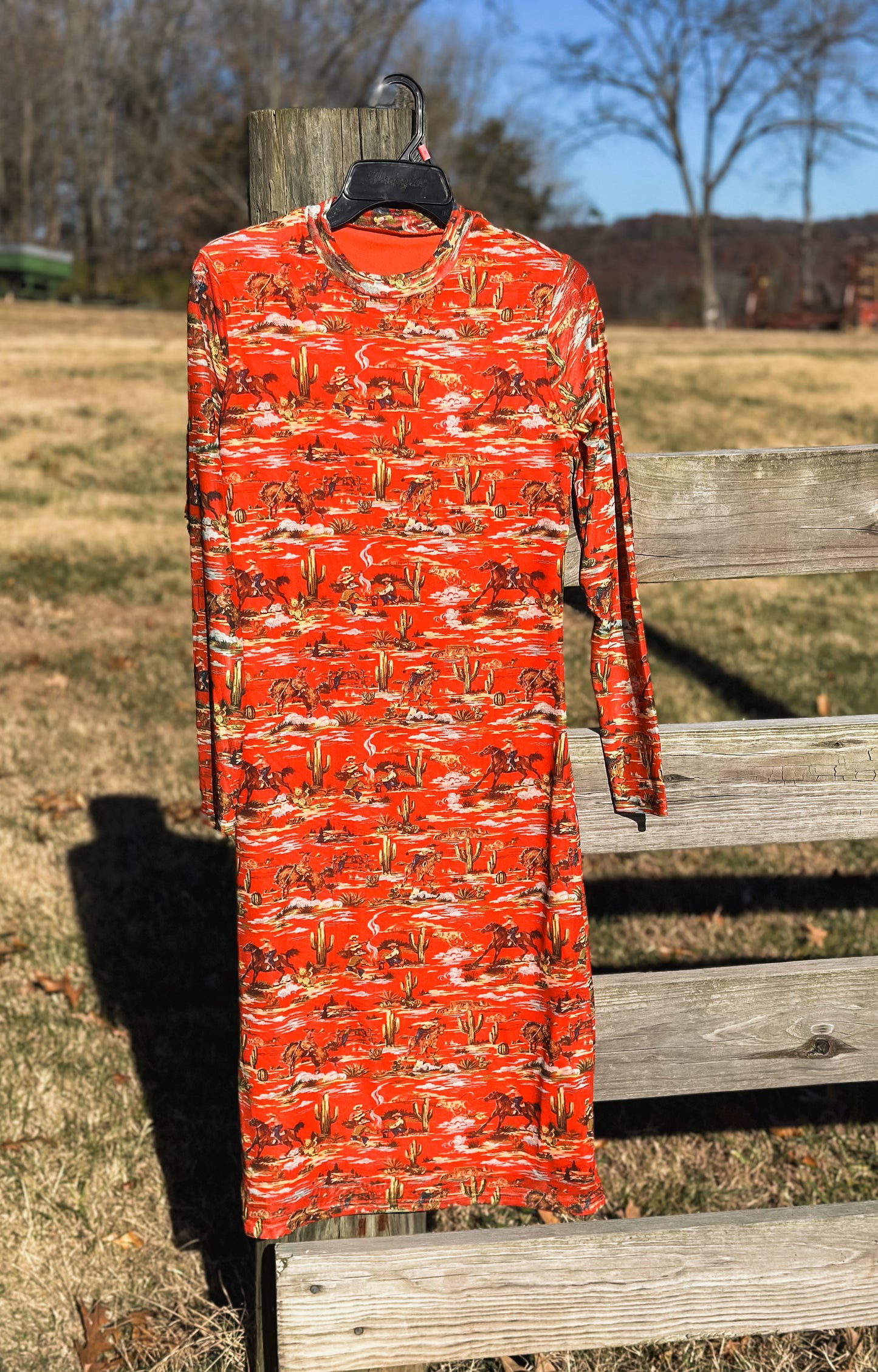 Get Rodeo Mesh Aline Dress