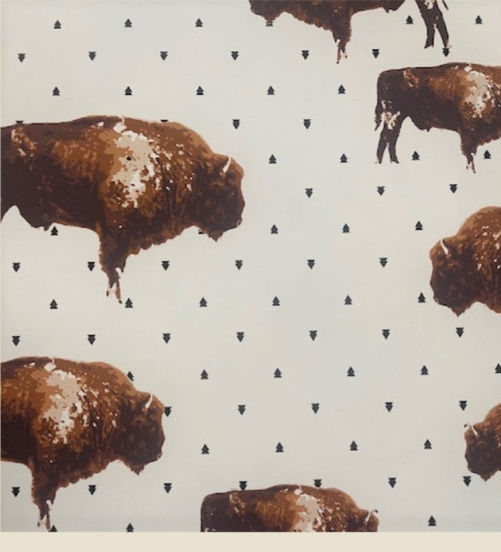 Buffalo Pearlsnap