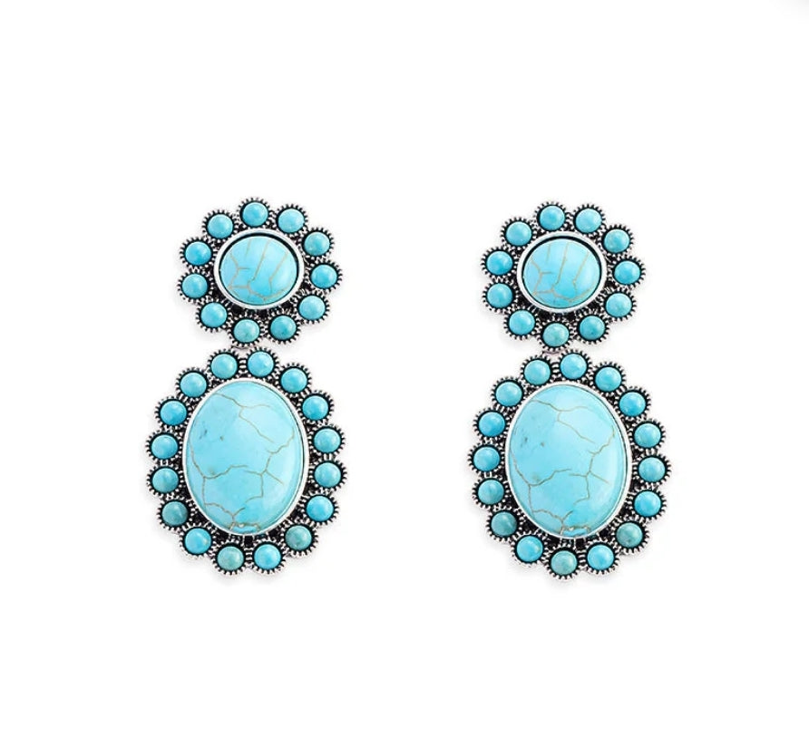 Windswept Mesa Earrings