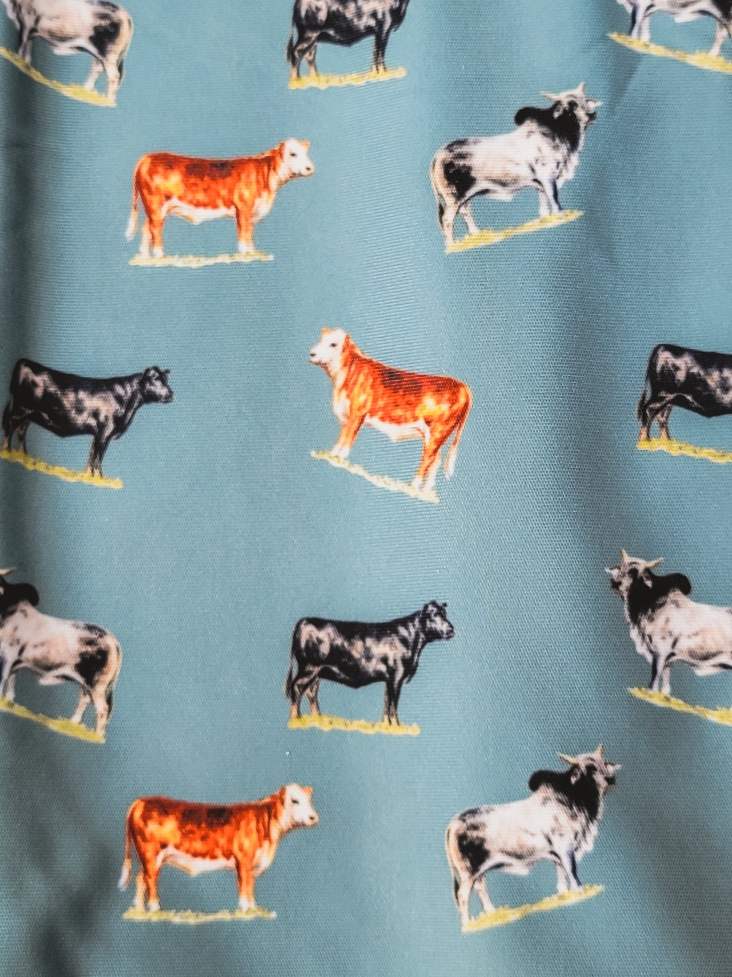 Cowpoke Infant Swaddle
