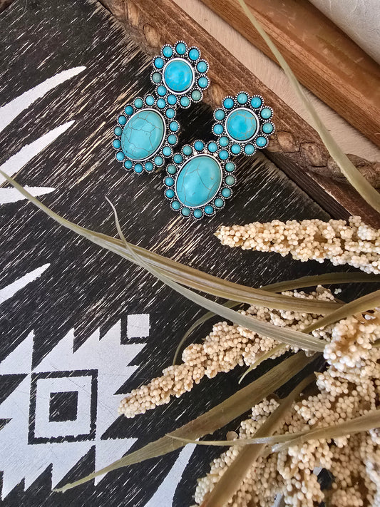Windswept Mesa Earrings