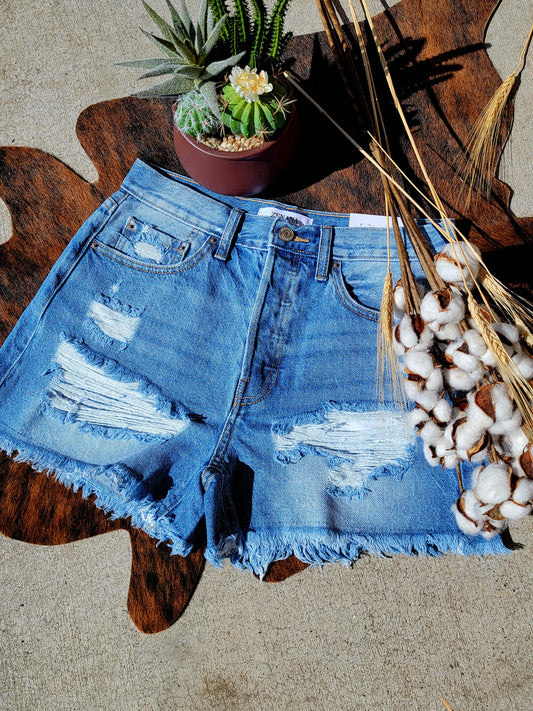 Trendy Denim Shorts